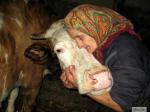 compassione-animali